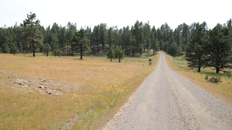 New Mexico: Bill Lee Mesa Hero Photo