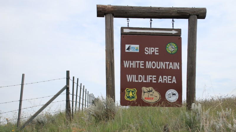 Arizona: Sipe White Mountain Wildlife Refuge Hero Photo