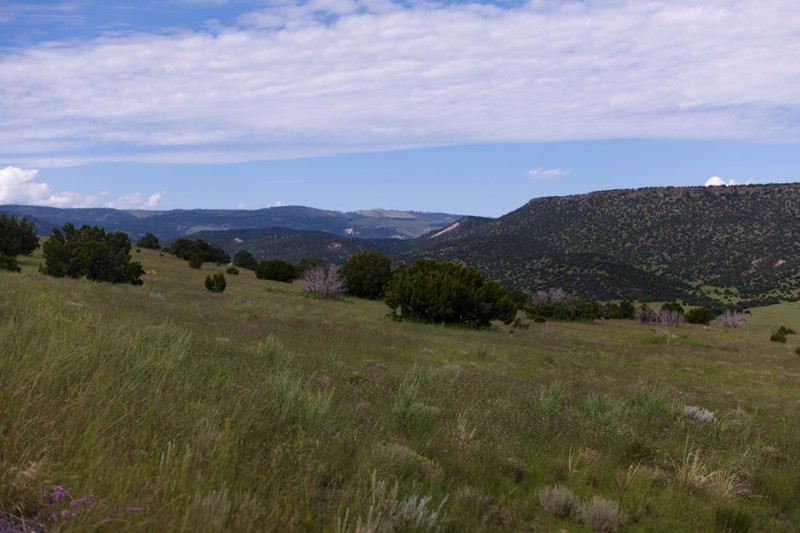 Sipe White Mountain Wildlife Refuge Trail Review Photo