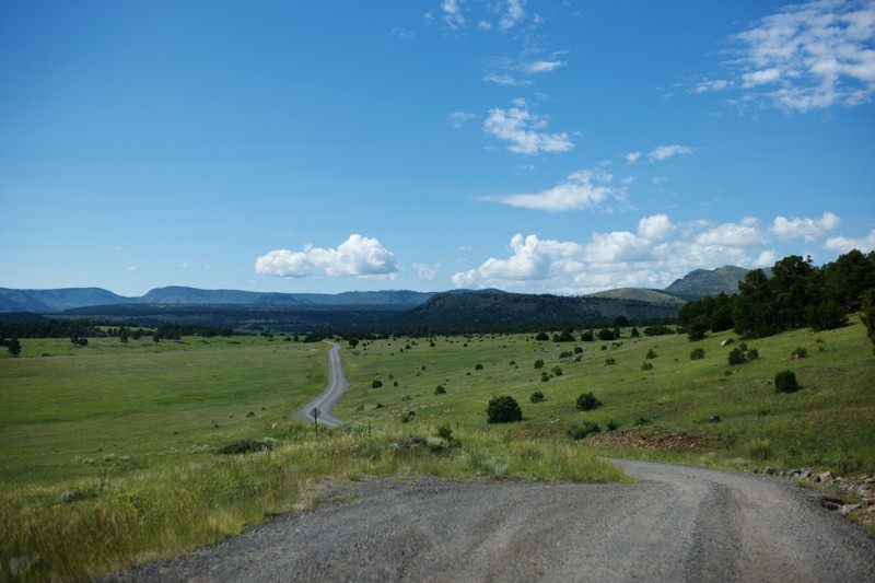 Sipe White Mountain Wildlife Refuge Trail Review Photo