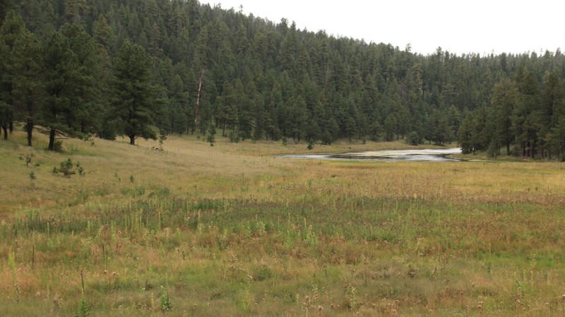 Arizona: Rogers Reservoir Hero Photo