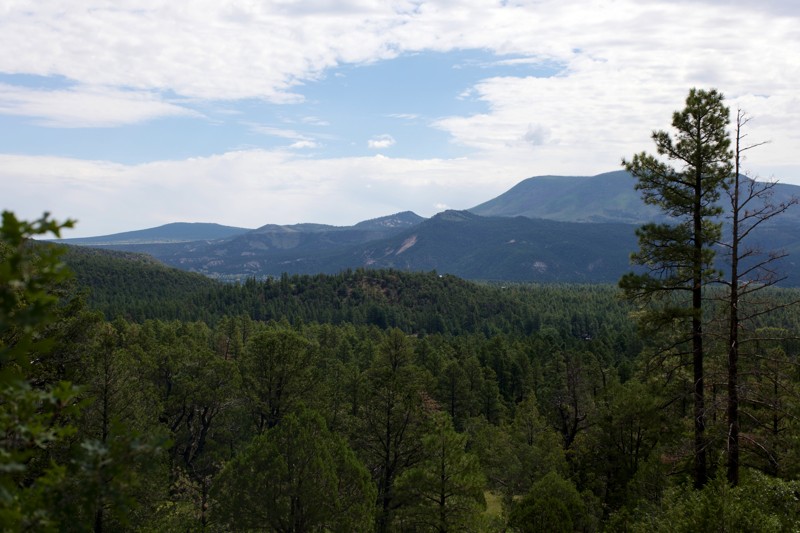 Rogers Reservoir Trail Review Photo