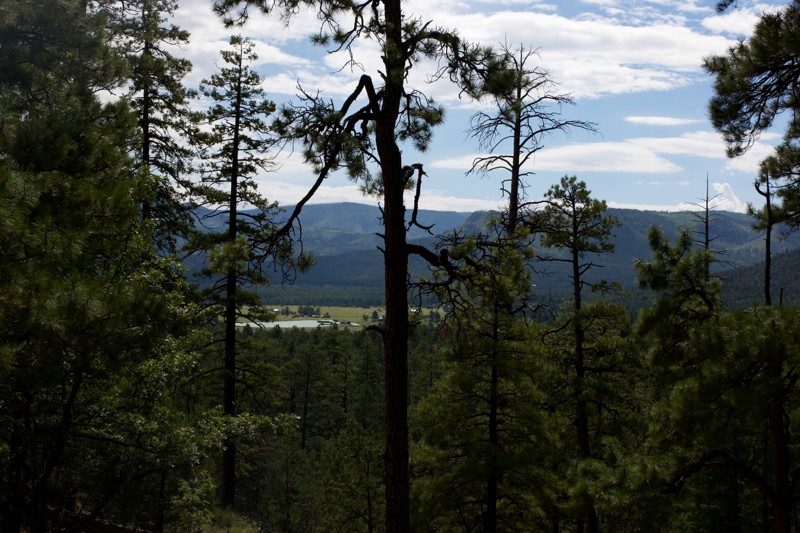 Rogers Reservoir Trail Review Photo