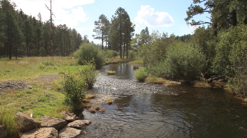 Arizona: Conklin Springs Road Hero Photo