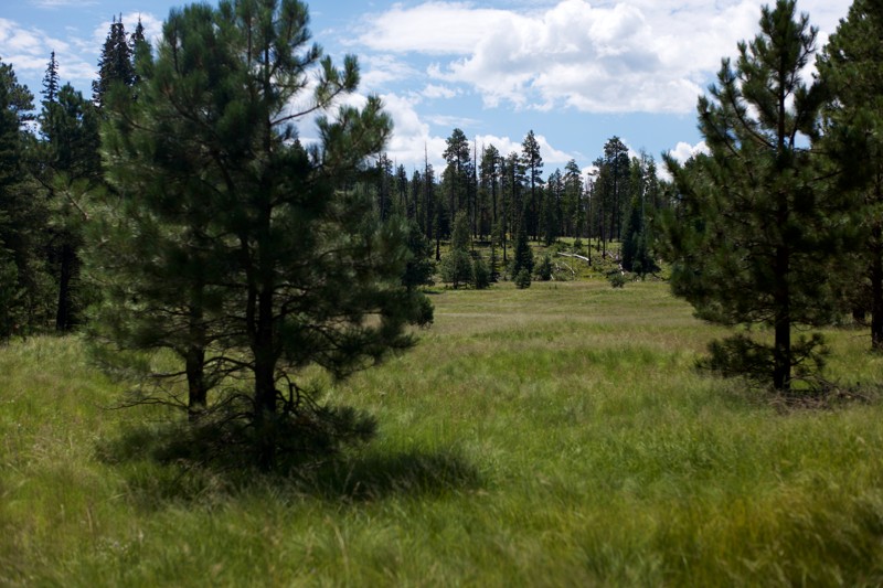 Log Landing Trail Review Photo