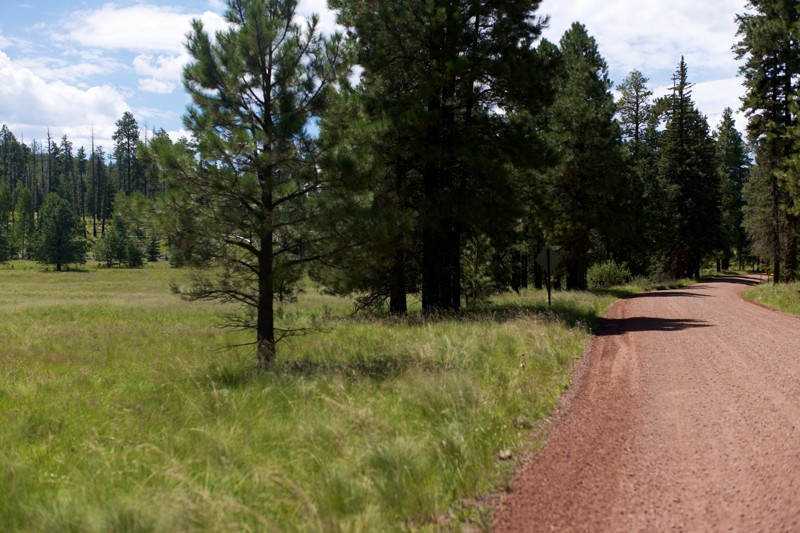 Log Landing Trail Review Photo