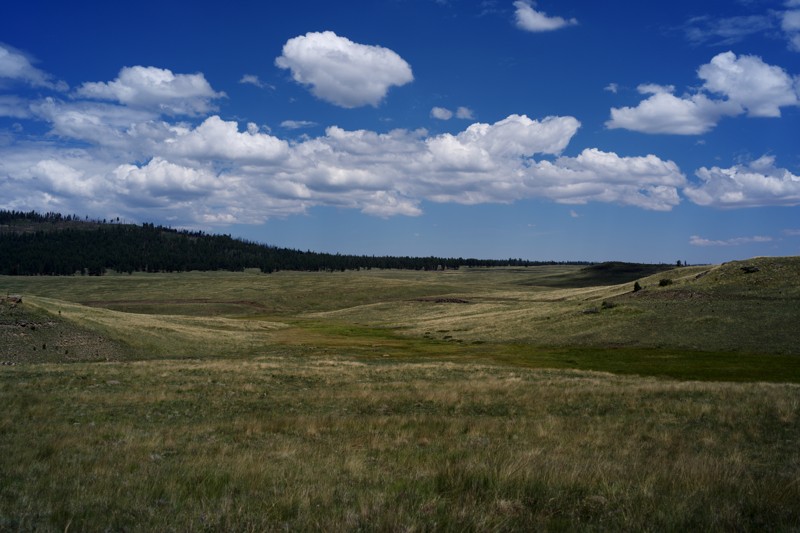 Log Landing Trail Review Photo