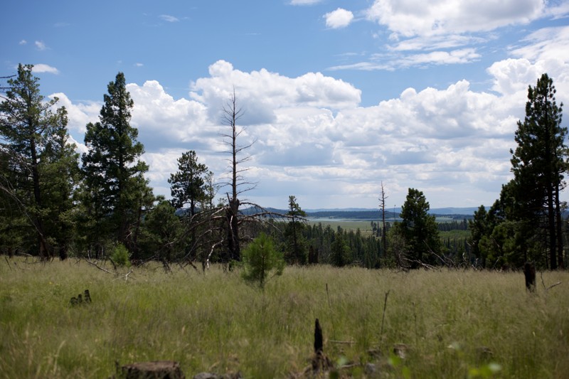 Pool Corral Trail Review Photo