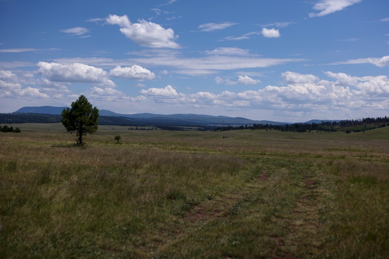 Pool Corral Trail Review Photo