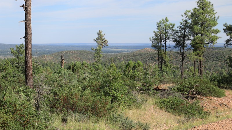 Arizona: Pinedale Ridge Hero Photo