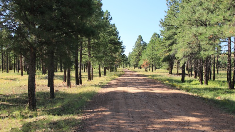Arizona: Cottonwood Wash Hero Photo