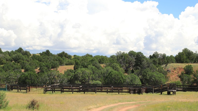 Arizona: Long Hollow Hero Photo