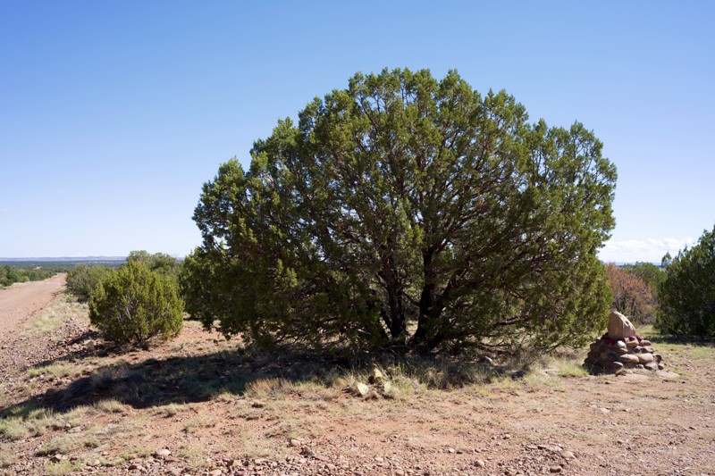FR 332 Aripine Trail Review Photo