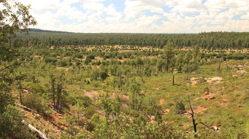 Arizona: Overgaard Hero Photo