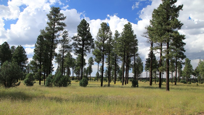 Arizona: Pierce Wash Hero Photo