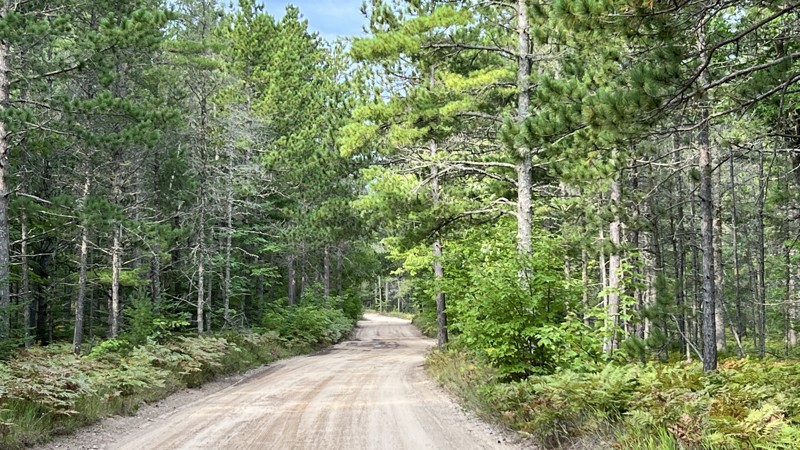 Michigan: County Road 374 Hero Photo