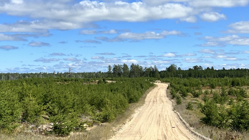 Michigan: County Road 412 Hero Photo