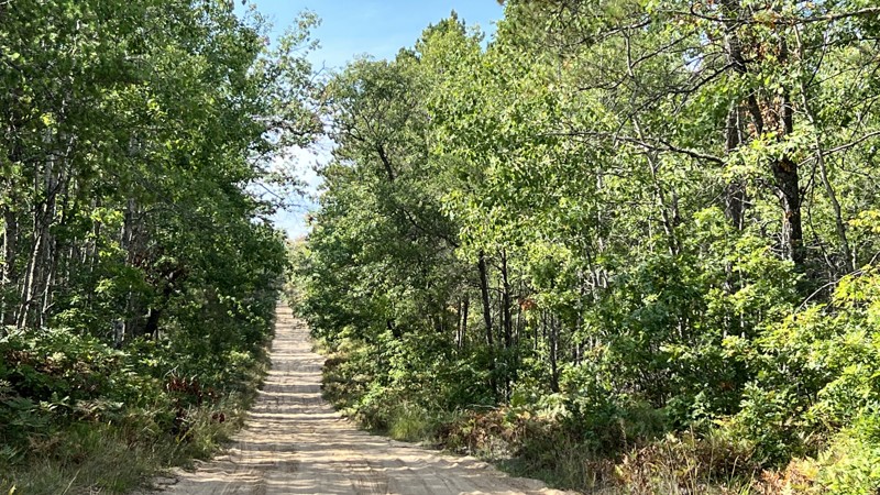 Michigan: Vaughn Road Hero Photo
