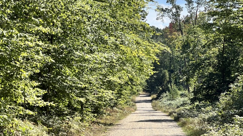 Michigan: Dowling Creek Hero Photo