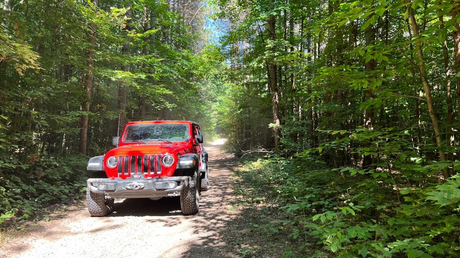 Dowling Creek Trail Review Photo