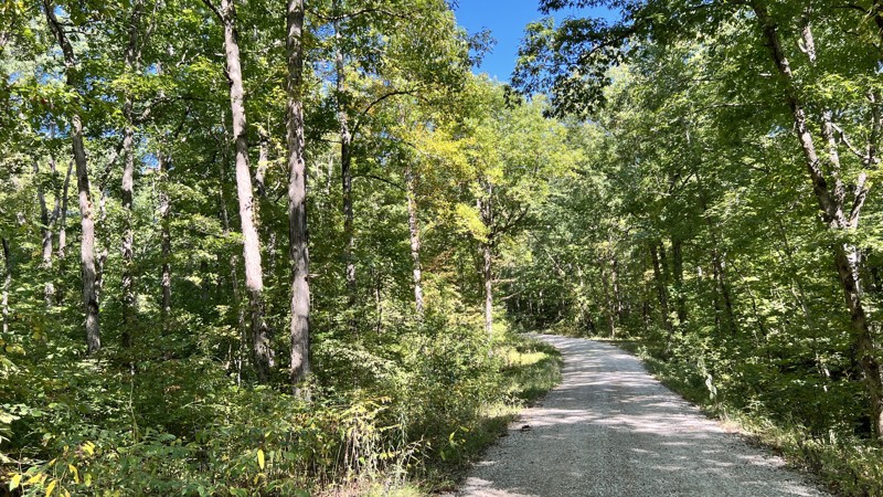 Kentucky: Sulphur Branch Hero Photo