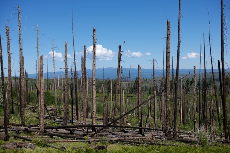 Aker Lake Trail Review Photo
