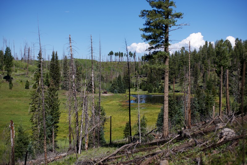 Aker Lake Trail Review Photo