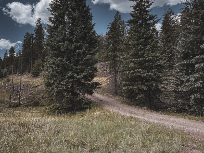 Aker Lake Trail Review Photo