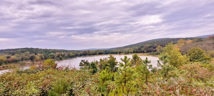 Charleston Road Trail Review Photo