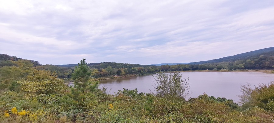 Charleston Road Trail Review Photo