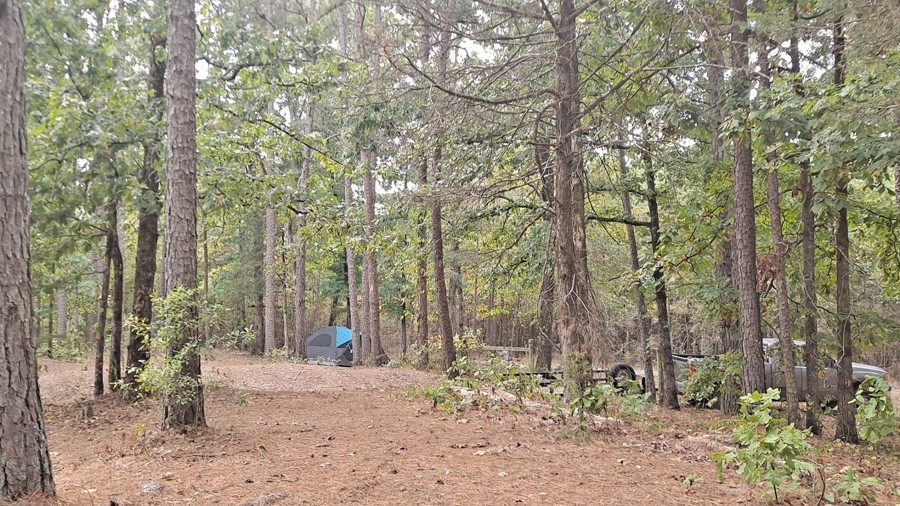 Driver Creek Dam Road Trail Review Photo