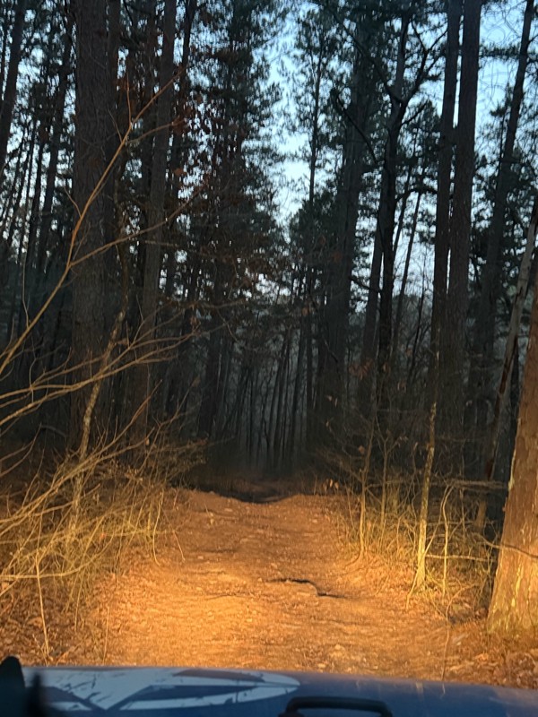 Lowder Road Trail Review Photo