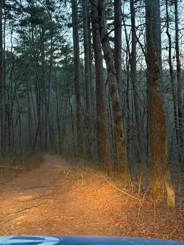 Lowder Road Trail Review Photo