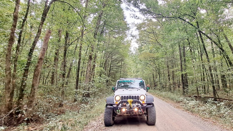 Arkansas: Pear Tree Road Hero Photo