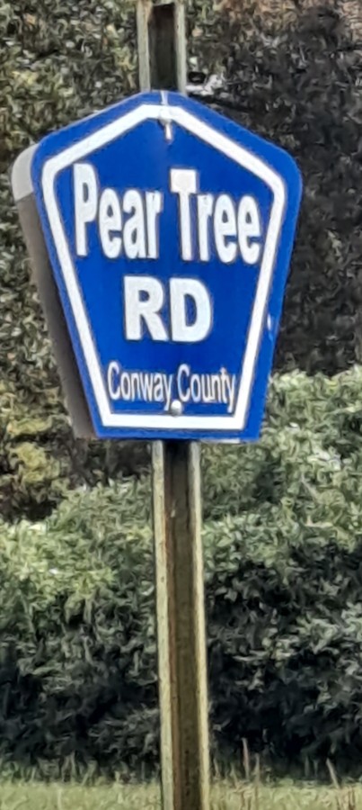Pear Tree Road Trail Review Photo