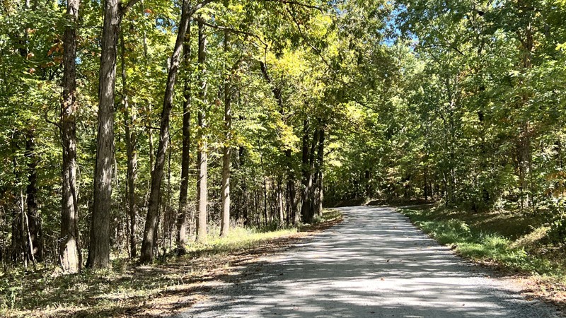 Kentucky: Nickell Branch Road Hero Photo