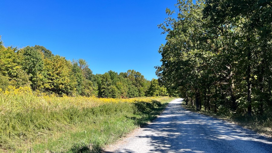 Nickell Branch Road Trail Review Photo