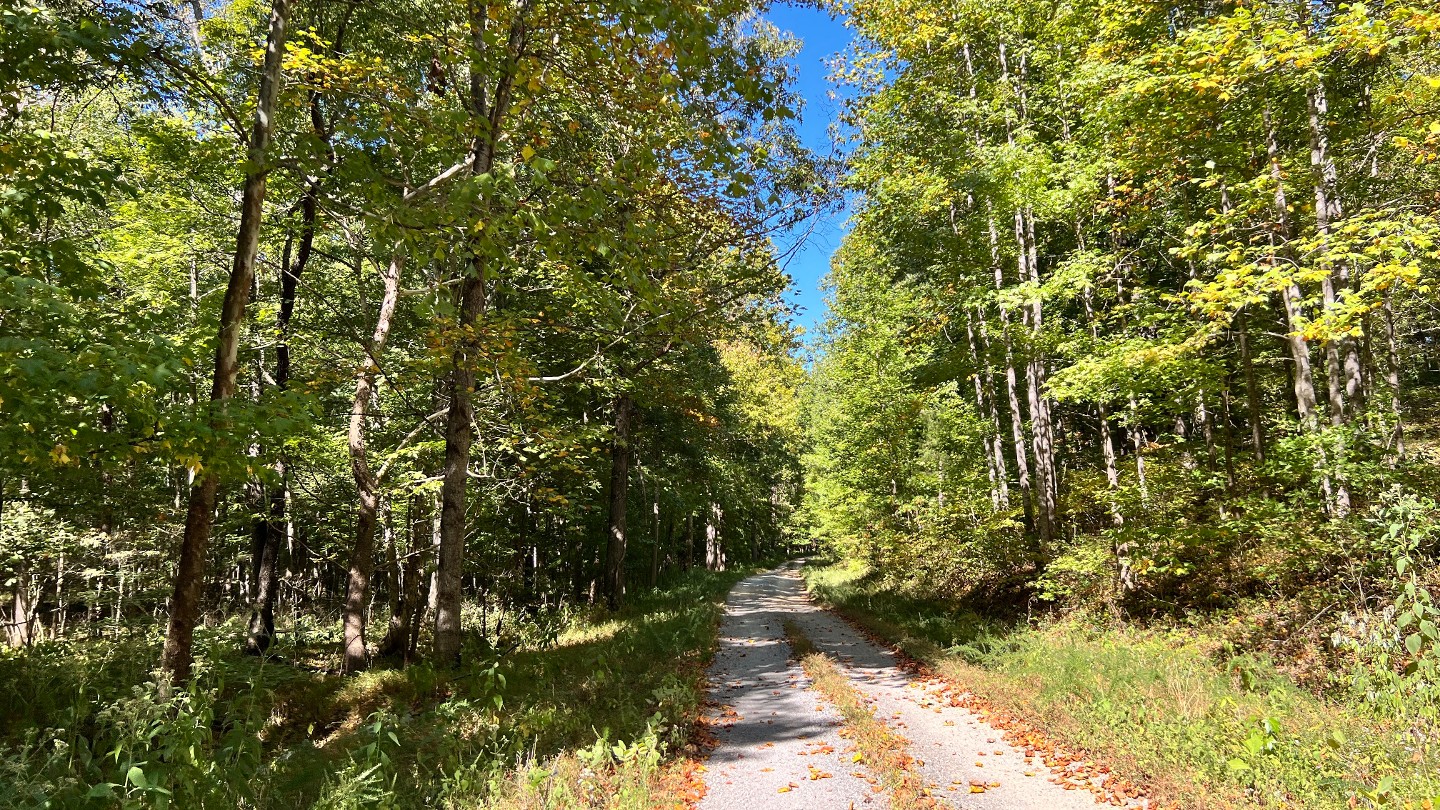 Highlight: https://images-prod.trailsoffroad.com/scout_routes/1335/hero_file_name/1664577664285_resizedIMG1764.jpg