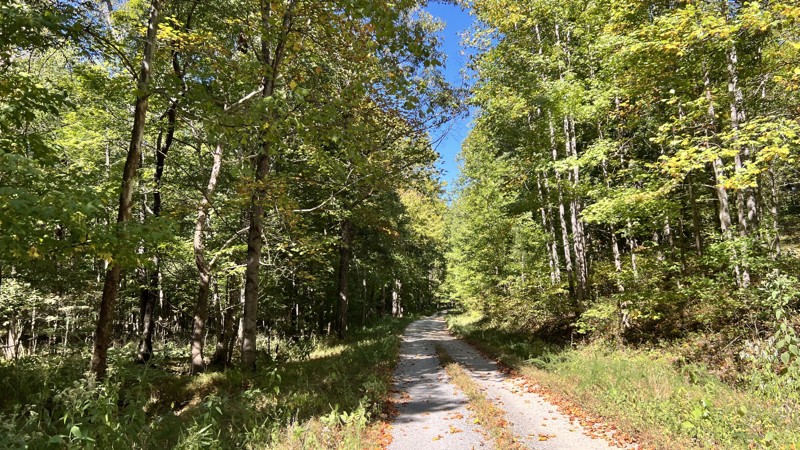 Kentucky: Brandon Chapel Road Hero Photo