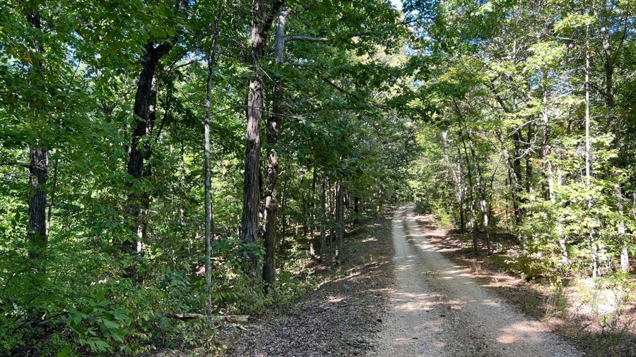 Lady Cemetery Trail Review Photo