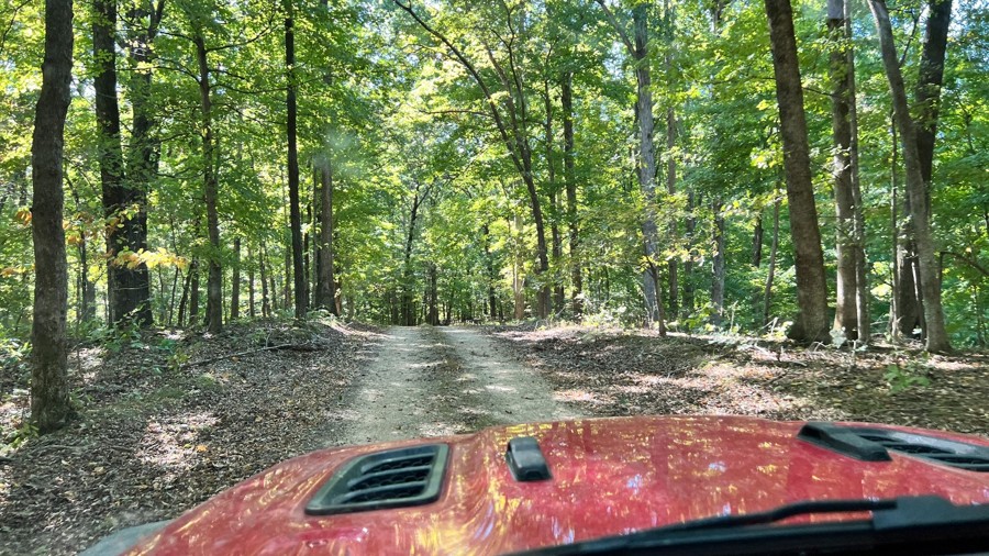 Lady Cemetery Trail Review Photo