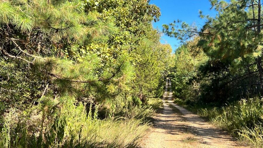 Cothran Road Trail Review Photo