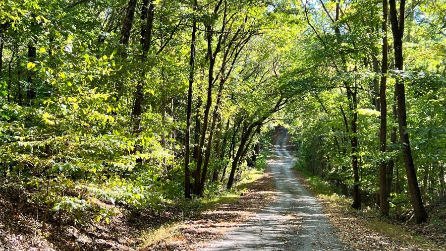 Kuttawa Landing Trail Review Photo