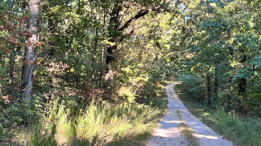 Woodson Chapel Road Trail Review Photo
