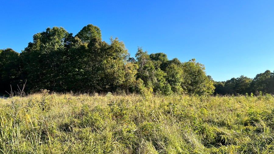 Woodson Chapel Road Trail Review Photo