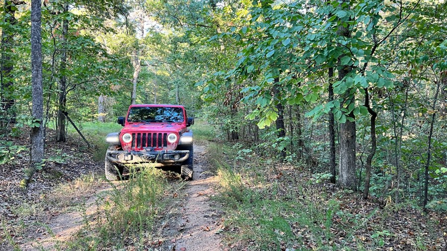 Green Branch Trail Review Photo