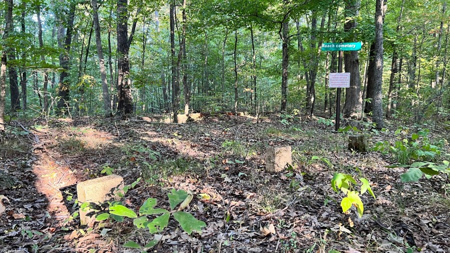 Green Branch Trail Review Photo