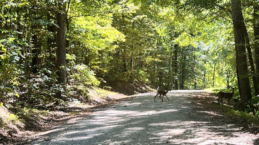 Twin Lakes South Trail Review Photo