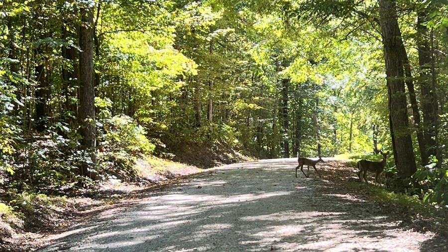 Twin Lakes South Trail Review Photo