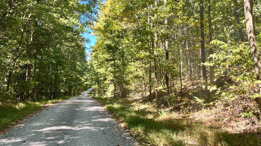 Willow Creek Trail Review Photo
